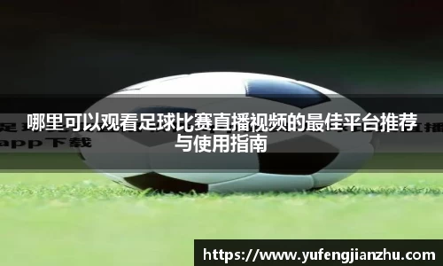 风云体育直播