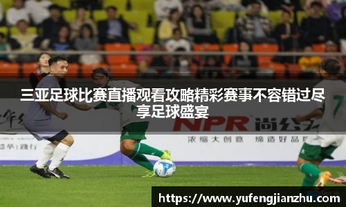 风云足球